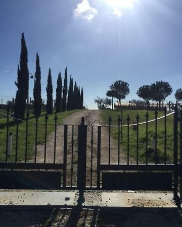 Agriturismo Casale San Benedetto Ceri Dış mekan fotoğraf