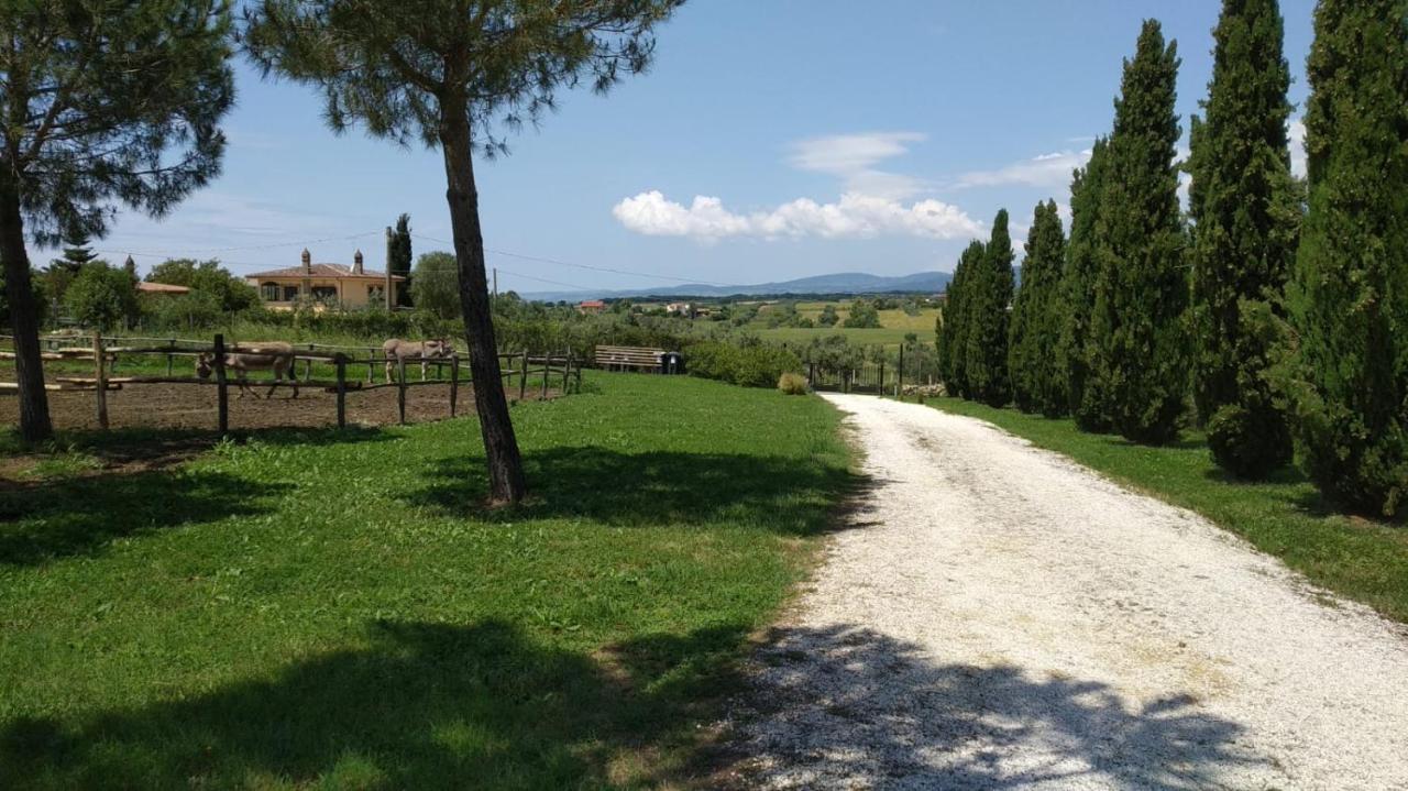 Agriturismo Casale San Benedetto Ceri Dış mekan fotoğraf