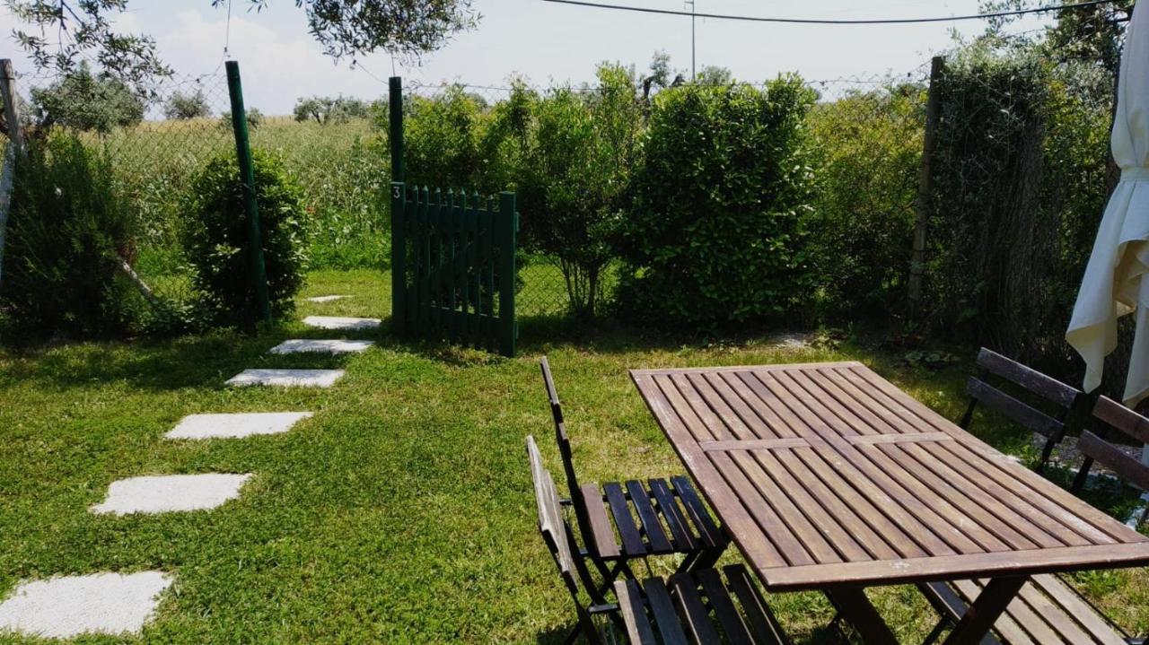 Agriturismo Casale San Benedetto Ceri Dış mekan fotoğraf