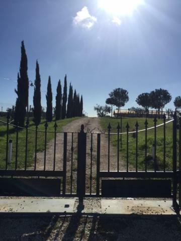 Agriturismo Casale San Benedetto Ceri Dış mekan fotoğraf